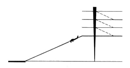 fig1.jpg